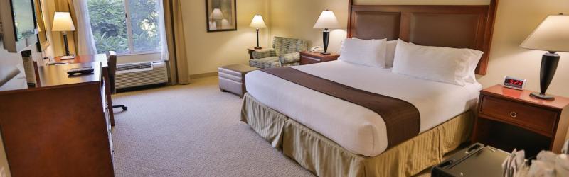 Holiday Inn Express & Suites Asheville Downtown By Ihg Екстер'єр фото
